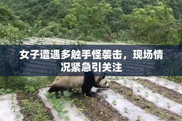 女子遭遇多触手怪袭击，现场情况紧急引关注