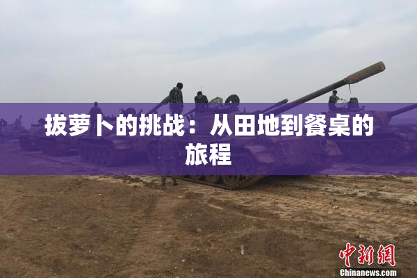 拔萝卜的挑战：从田地到餐桌的旅程