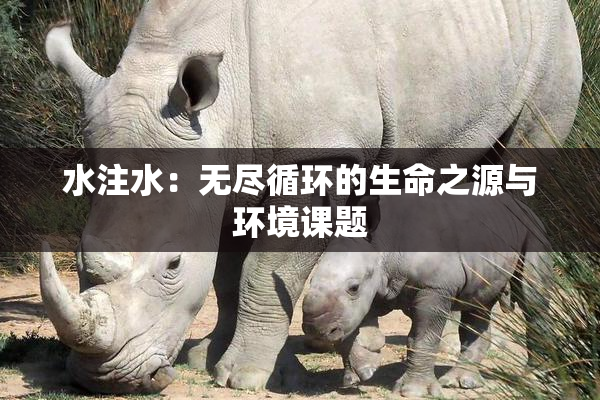 水注水：无尽循环的生命之源与环境课题