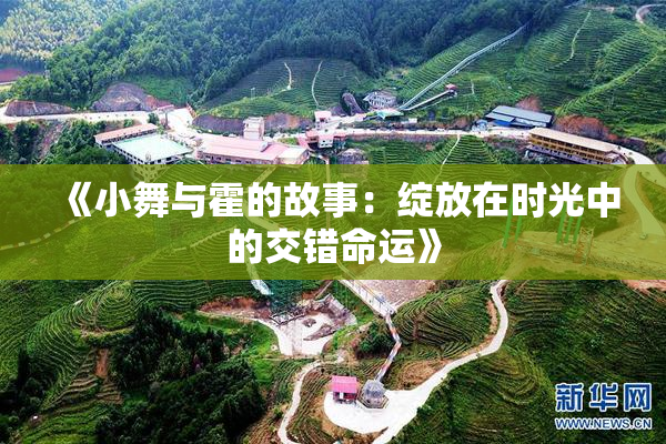 《小舞与霍的故事：绽放在时光中的交错命运》