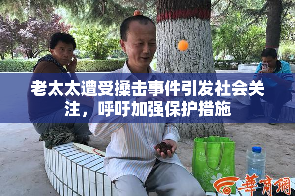 老太太遭受搡击事件引发社会关注，呼吁加强保护措施