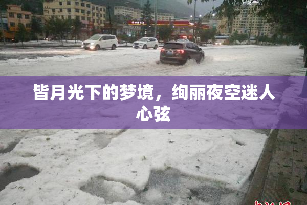 皆月光下的梦境，绚丽夜空迷人心弦