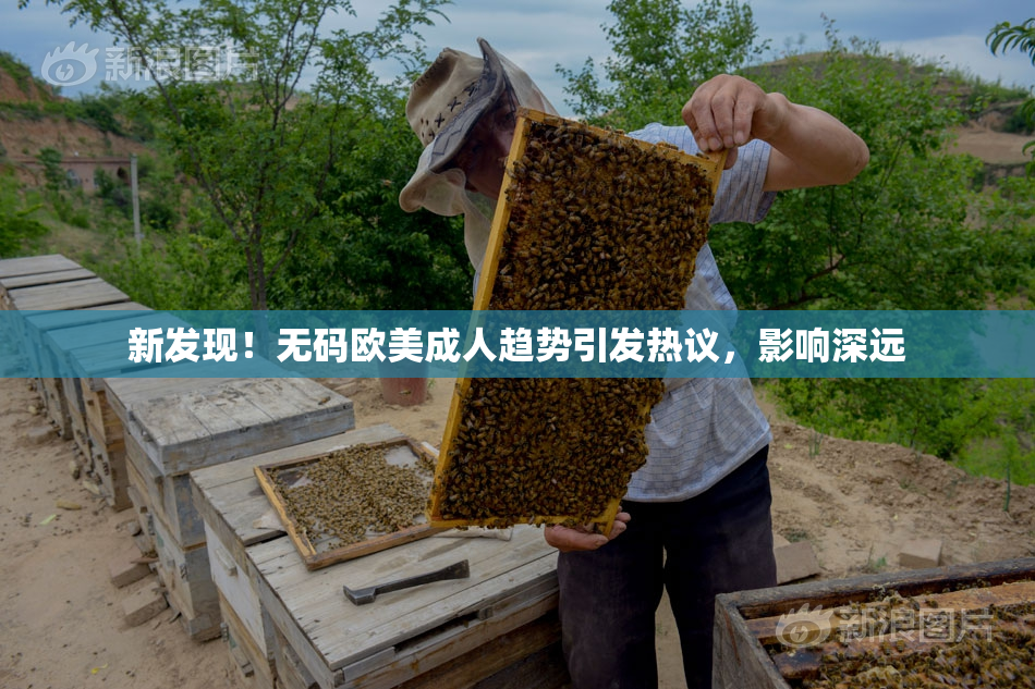 新发现！无码欧美成人趋势引发热议，影响深远