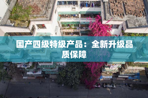 国产四级特级产品：全新升级品质保障