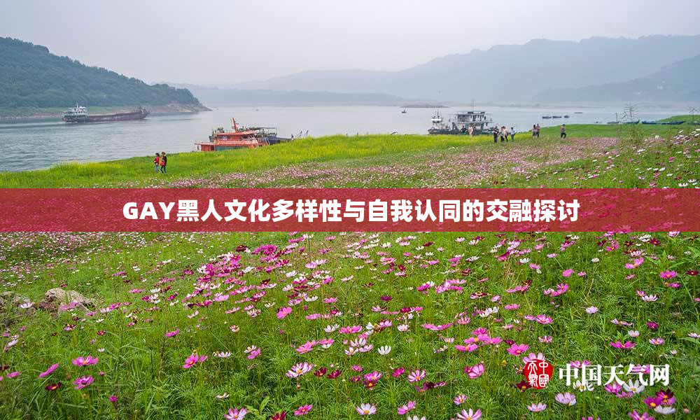 GAY黑人文化多样性与自我认同的交融探讨