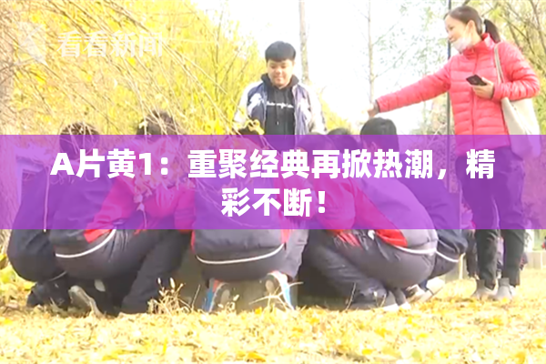 A片黄1：重聚经典再掀热潮，精彩不断！