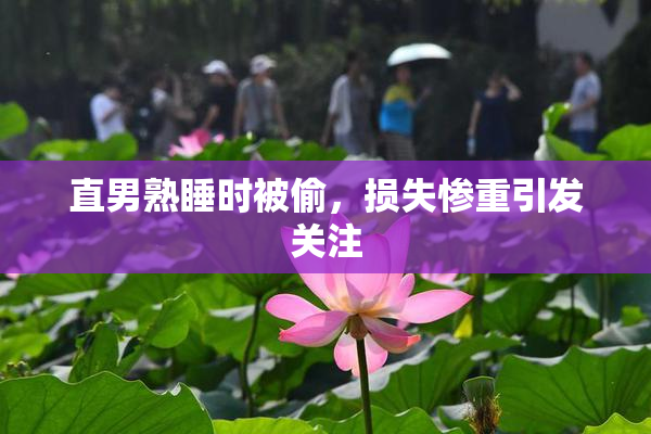 直男熟睡时被偷，损失惨重引发关注