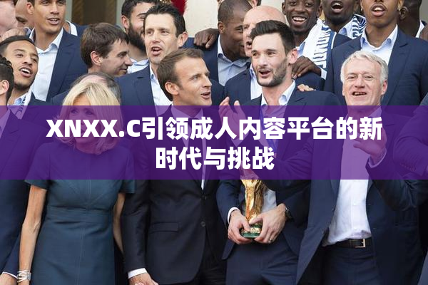 XNXX.C引领成人内容平台的新时代与挑战