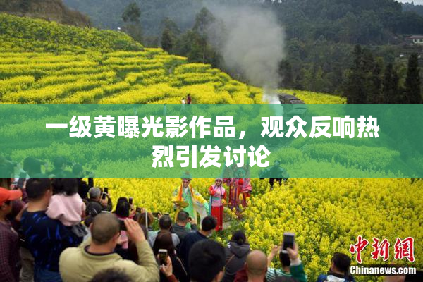 一级黄曝光影作品，观众反响热烈引发讨论
