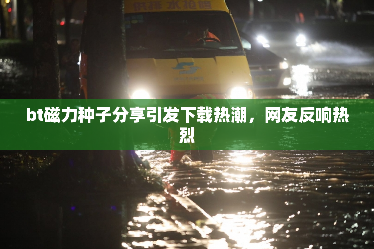 bt磁力种子分享引发下载热潮，网友反响热烈