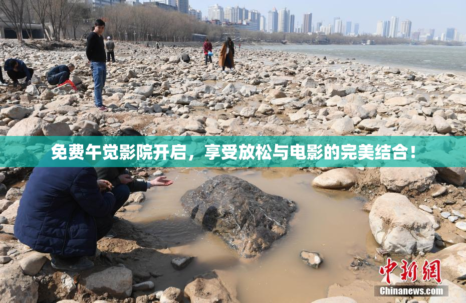 免费午觉影院开启，享受放松与电影的完美结合！