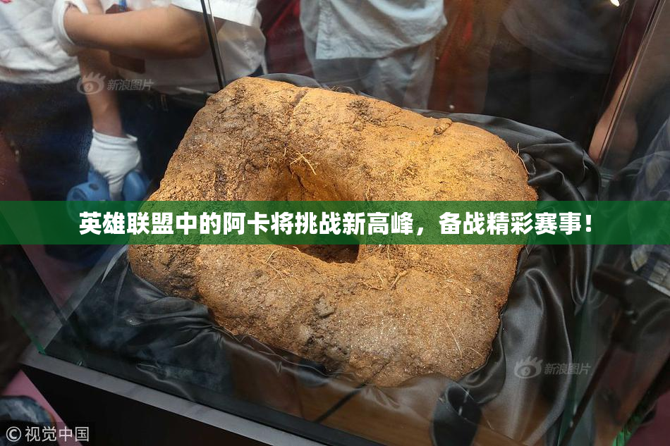 英雄联盟中的阿卡将挑战新高峰，备战精彩赛事！