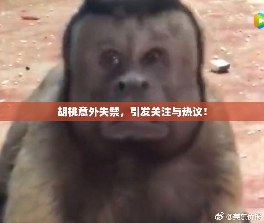 胡桃意外失禁，引发关注与热议！