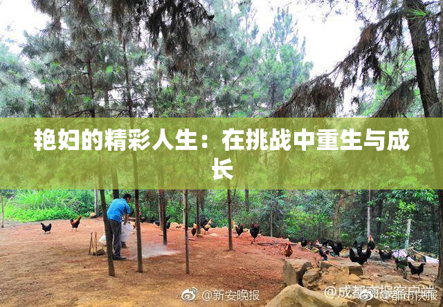艳妇的精彩人生：在挑战中重生与成长