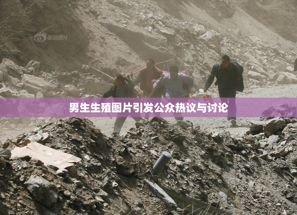 男生生殖图片引发公众热议与讨论