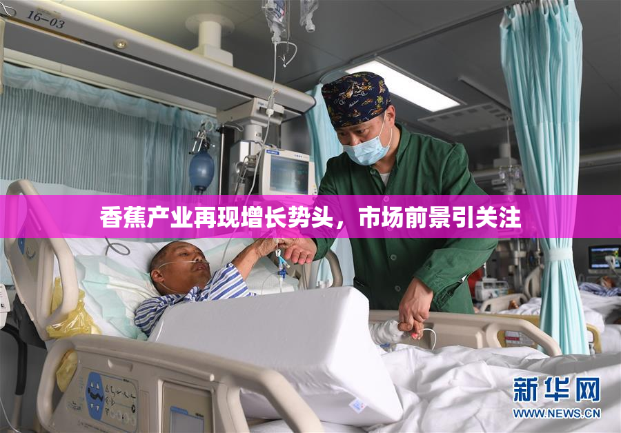 香蕉产业再现增长势头，市场前景引关注