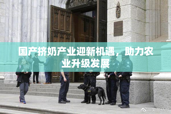 国产挤奶产业迎新机遇，助力农业升级发展