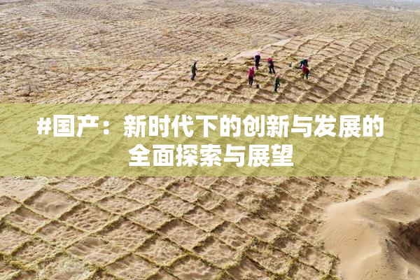 #国产：新时代下的创新与发展的全面探索与展望