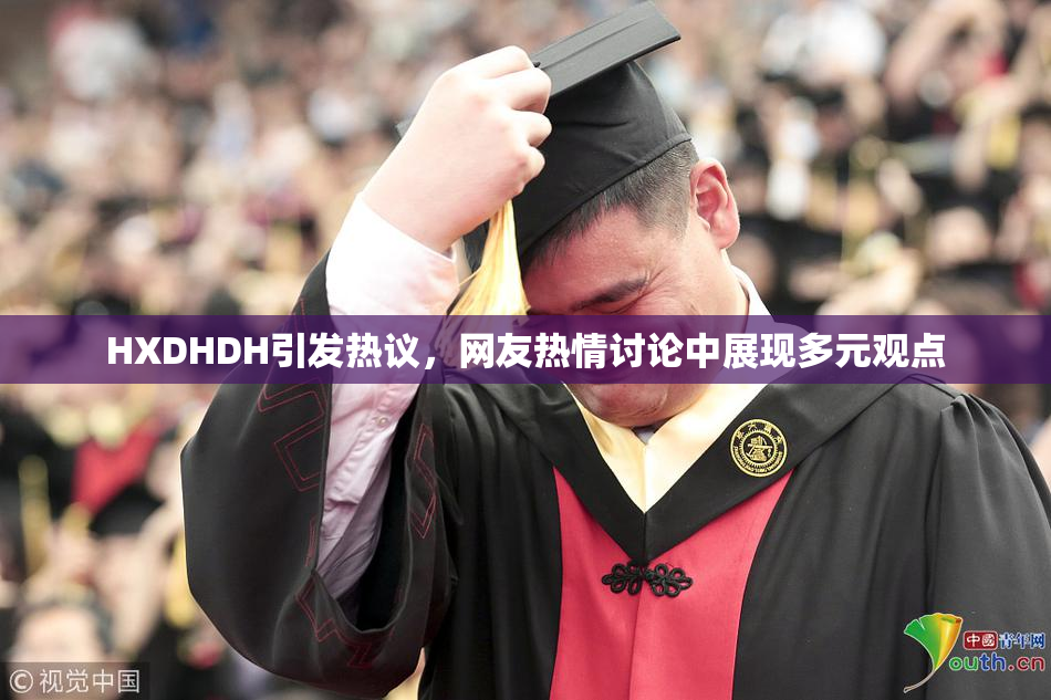HXDHDH引发热议，网友热情讨论中展现多元观点