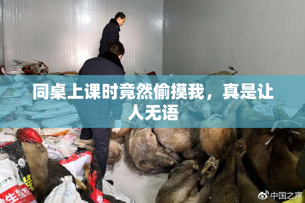 同桌上课时竟然偷摸我，真是让人无语