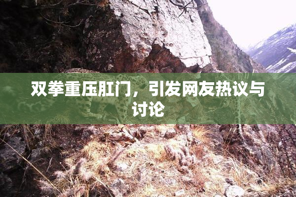 双拳重压肛门，引发网友热议与讨论