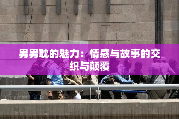 男男耽的魅力：情感与故事的交织与颠覆