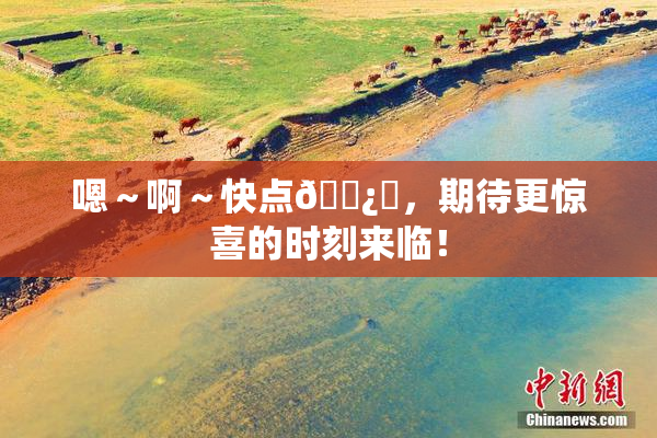 嗯～啊～快点🌿‌，期待更惊喜的时刻来临！