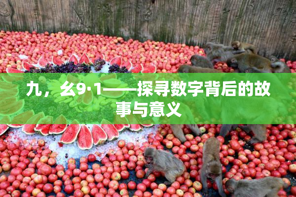九，幺9·1——探寻数字背后的故事与意义