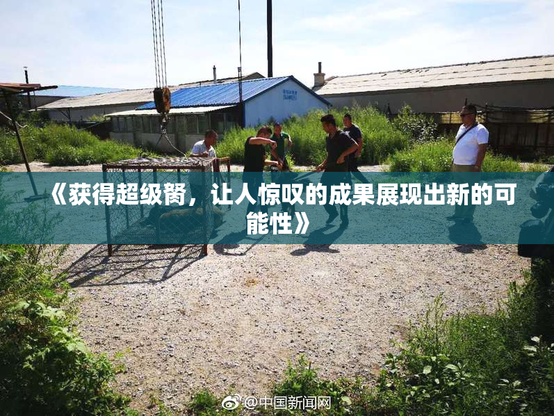 《获得超级胬，让人惊叹的成果展现出新的可能性》