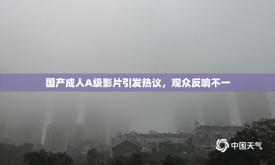 国产成人A级影片引发热议，观众反响不一