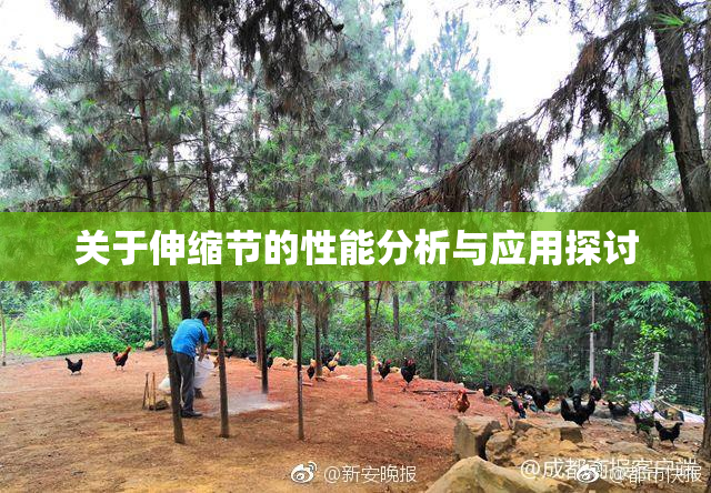 关于伸缩节的性能分析与应用探讨