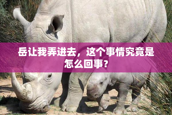 岳让我弄进去，这个事情究竟是怎么回事？