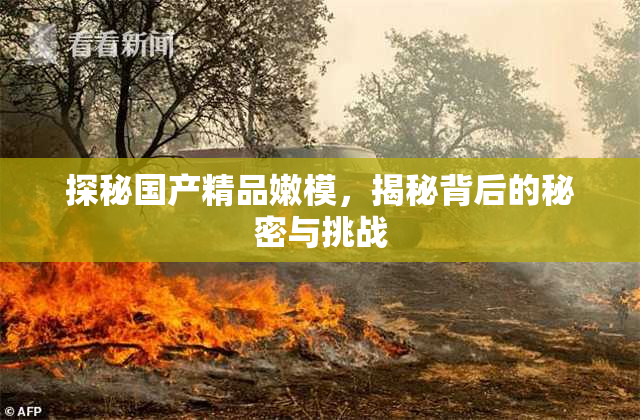 探秘国产精品嫩模，揭秘背后的秘密与挑战