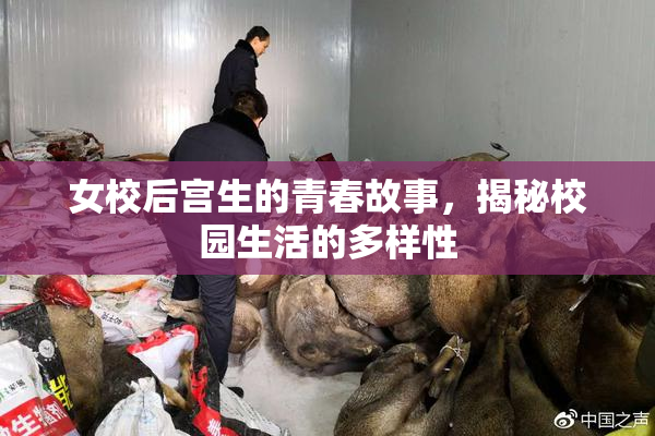 女校后宫生的青春故事，揭秘校园生活的多样性