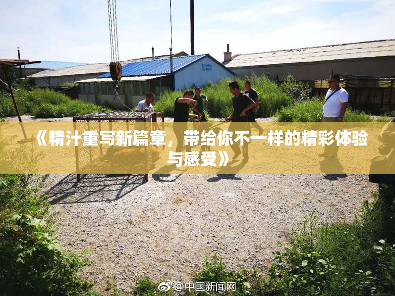 《精汁重写新篇章，带给你不一样的精彩体验与感受》