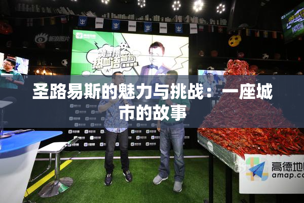 圣路易斯的魅力与挑战：一座城市的故事