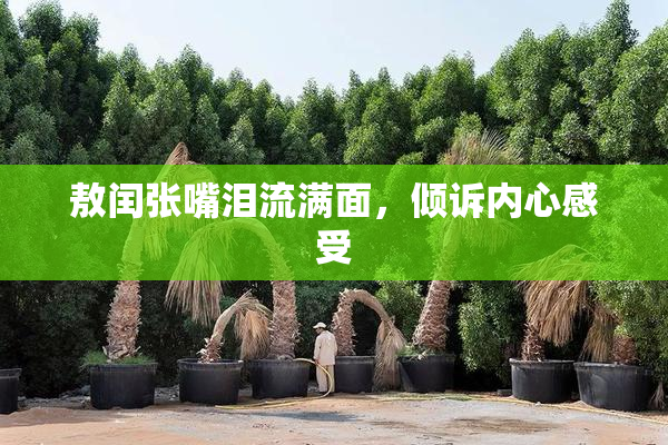 敖闰张嘴泪流满面，倾诉内心感受