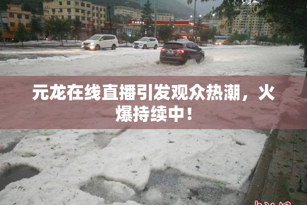 元龙在线直播引发观众热潮，火爆持续中！