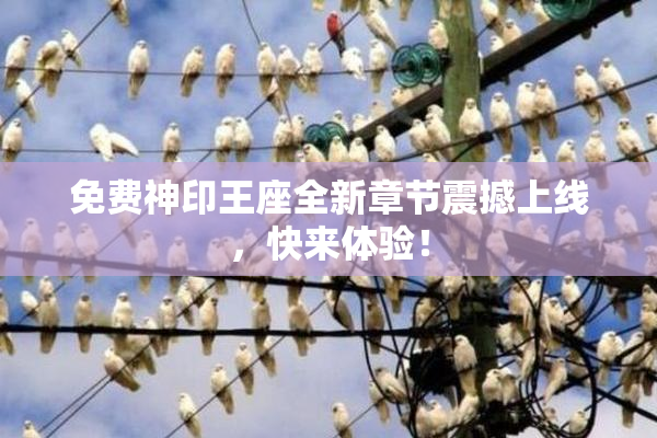 免费神印王座全新章节震撼上线，快来体验！