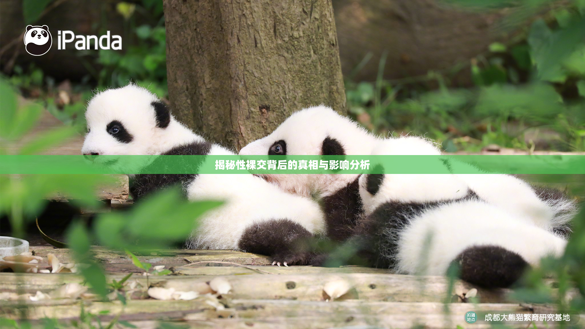 揭秘性裸交背后的真相与影响分析
