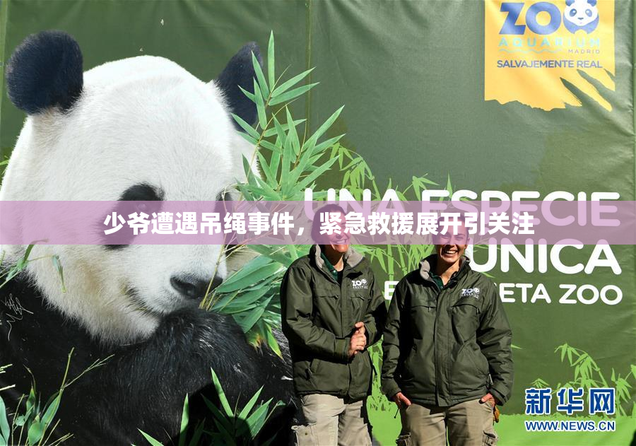 少爷遭遇吊绳事件，紧急救援展开引关注
