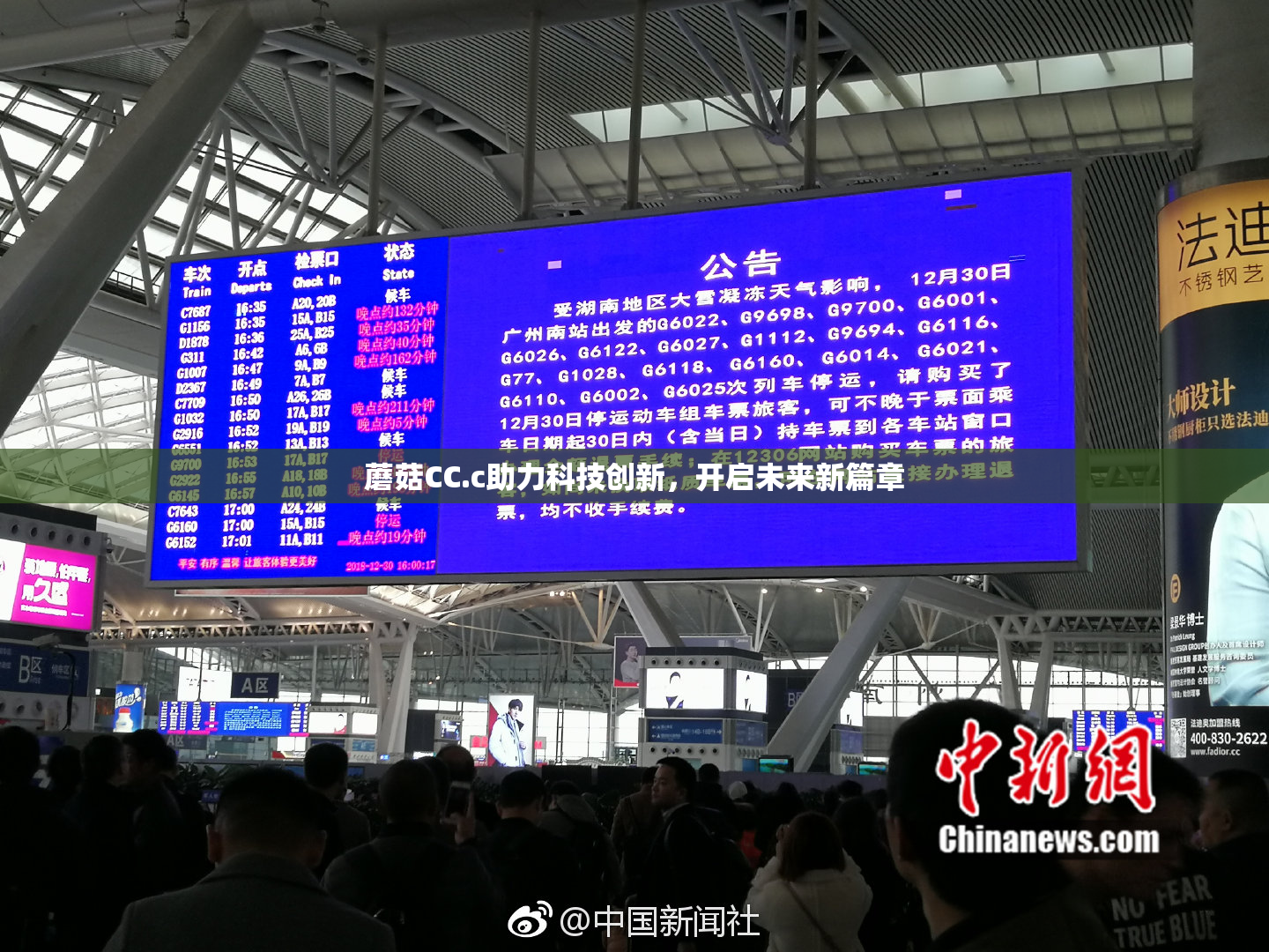 蘑菇CC.c助力科技创新，开启未来新篇章
