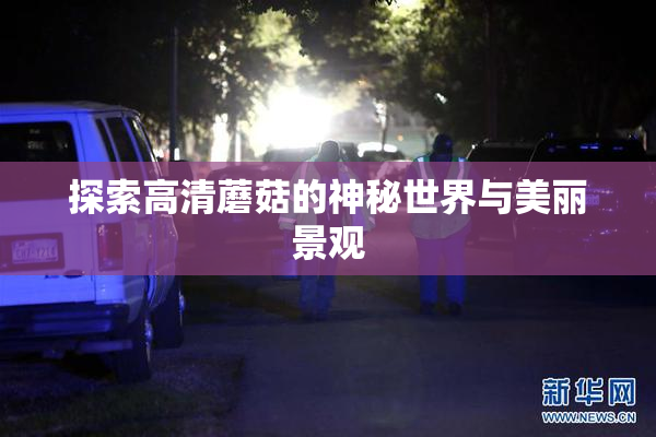 探索高清蘑菇的神秘世界与美丽景观
