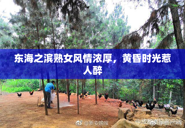 东海之滨熟女风情浓厚，黄昏时光惹人醉