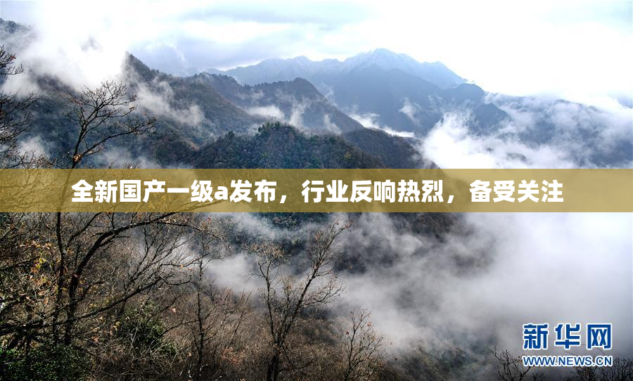 全新国产一级a发布，行业反响热烈，备受关注