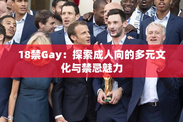 18禁Gay：探索成人向的多元文化与禁忌魅力