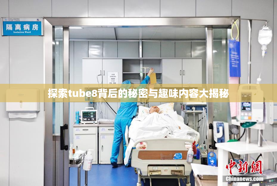 探索tube8背后的秘密与趣味内容大揭秘