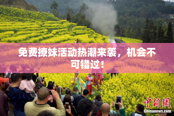 免费撩妹活动热潮来袭，机会不可错过！