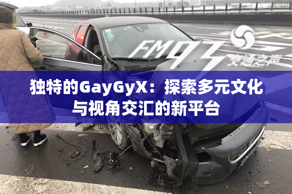 独特的GayGyX：探索多元文化与视角交汇的新平台