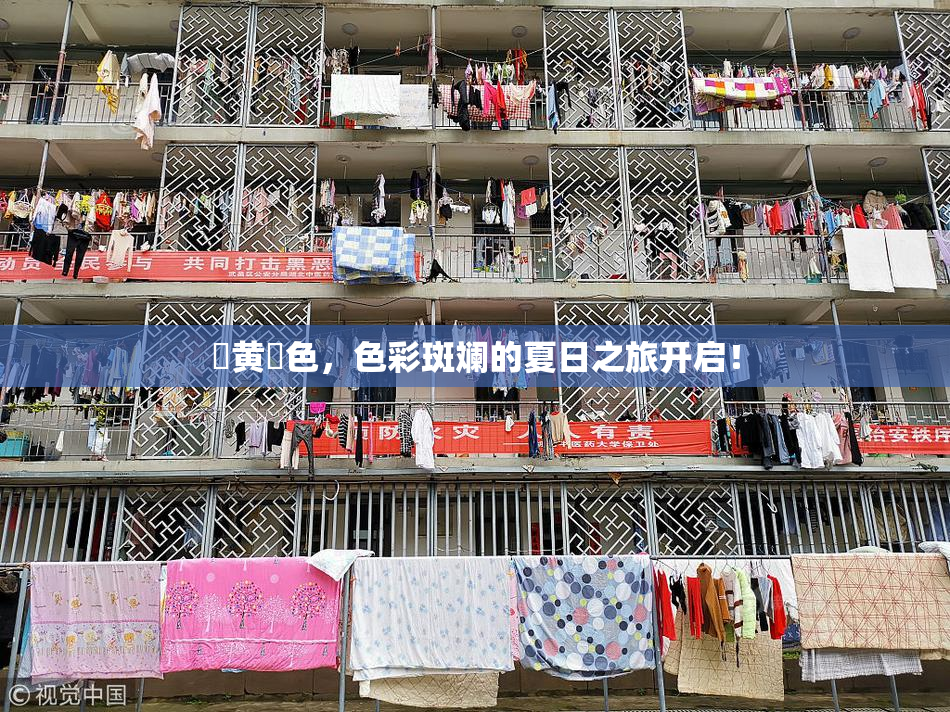 ✿黄✿色，色彩斑斓的夏日之旅开启！